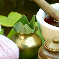 kerala ayurveda treatment herbs