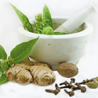 ayurvedic treatment herbs in kerala